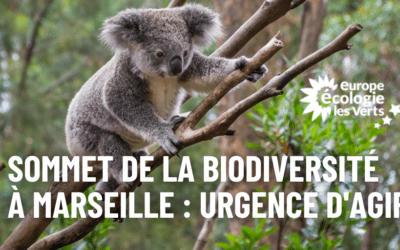 Sommet de la biodiversité à Marseille : l’urgence d’agir