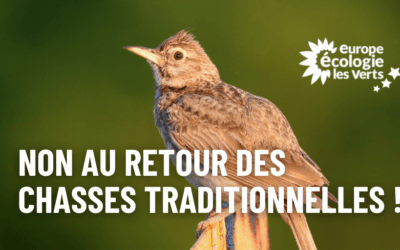 Chasses traditionnelles : stop au clientélisme !