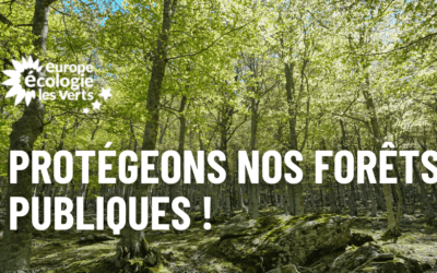 Protégeons nos forêts publiques !