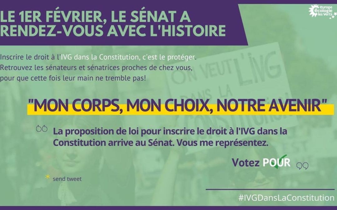 Pour l’IVG dans la constitution !