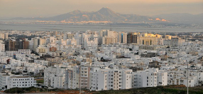 Hélène Flautre : « En Tunisie, un vrai débat politique va enfin commencer »