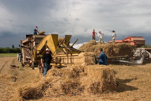 Pour Europe Ecologie-Les Verts, il faut changer de modèle agricole