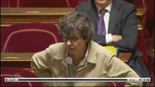 Question d&rsquo;actualité posée par Corinne Bouchoux sur Notre-Dame Des Landes