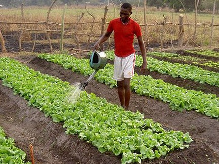 (Mediapart) Au Nord comme au Sud, l&rsquo;heure du renouveau agricole