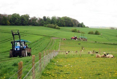 EELV en soutien aux viticulteurs bio anti-pesticides