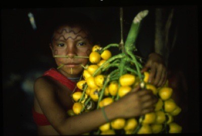 Le parlement européen contre le biopiratage