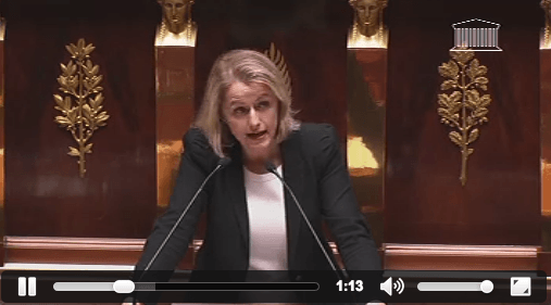 Les députés adoptent la proposition de co-présidence des groupes politiques