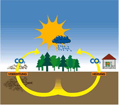 EELV soutient la filière bois face au projet ERSCIA, une aberration économique et écologique en Bourgogne