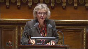 « Notre groupe écologiste est convaincu que le développement endogène et soutenable de l’activité économique en outre-mer est la seule solution »