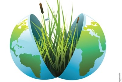 Semences :  la proposition de la Commission européenne menace la biodiversité