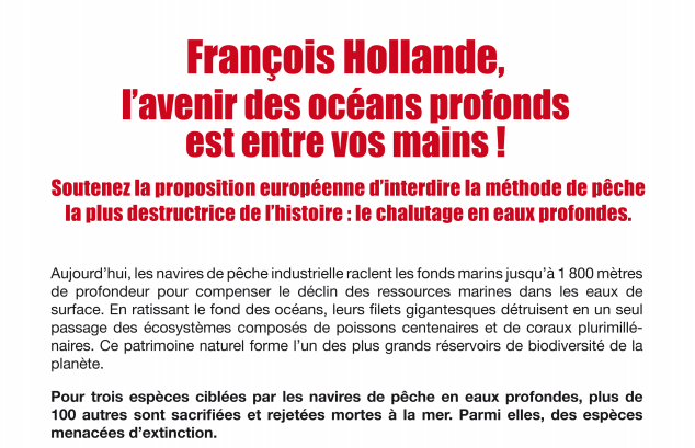 Océans: pour en finir avec le chalutage en eaux profondes