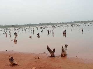 Sénégal, course de vitesse contre le dérèglement climatique