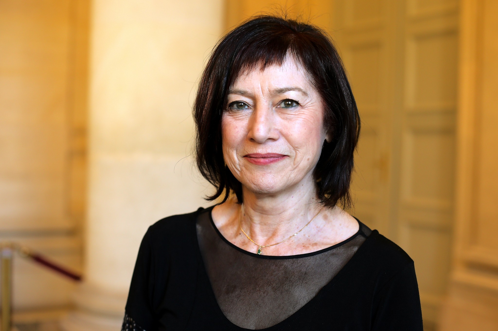 Le Lyon – Turin : un très grand projet d’infrastructure inutile… et daté