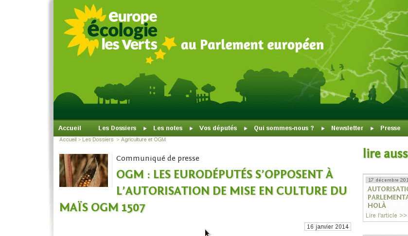 OGM : les eurodéputés s&rsquo;opposent à l&rsquo;autorisation de mise en culture du maïs OGM 1507