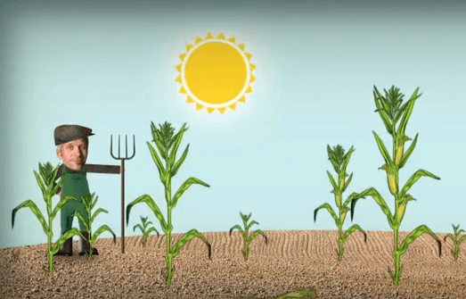 À l’Assemblée, une victoire paysanne : les semences de ferme ne sont pas des contrefaçons