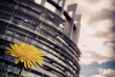 En direct de la dernière session plénière du Parlement avant les élections européennes