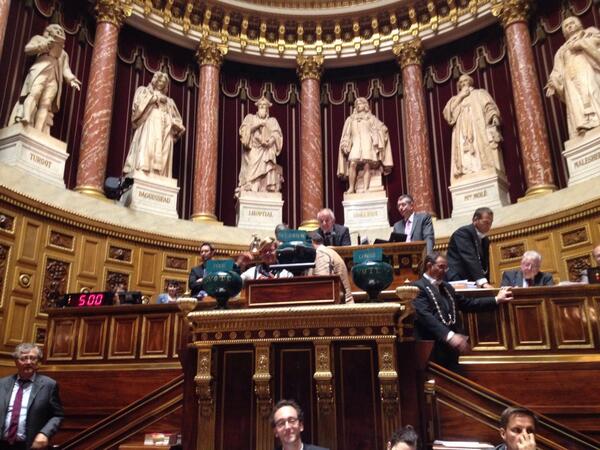 Cette semaine au Sénat : développement, hommage aux résistantes…