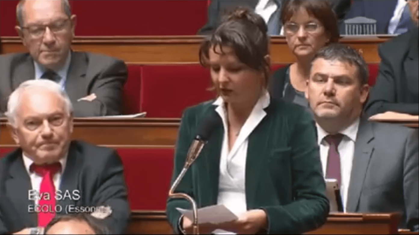 Éva Sas : « Il faut réorienter les propositions budgétaires du gouvernement »