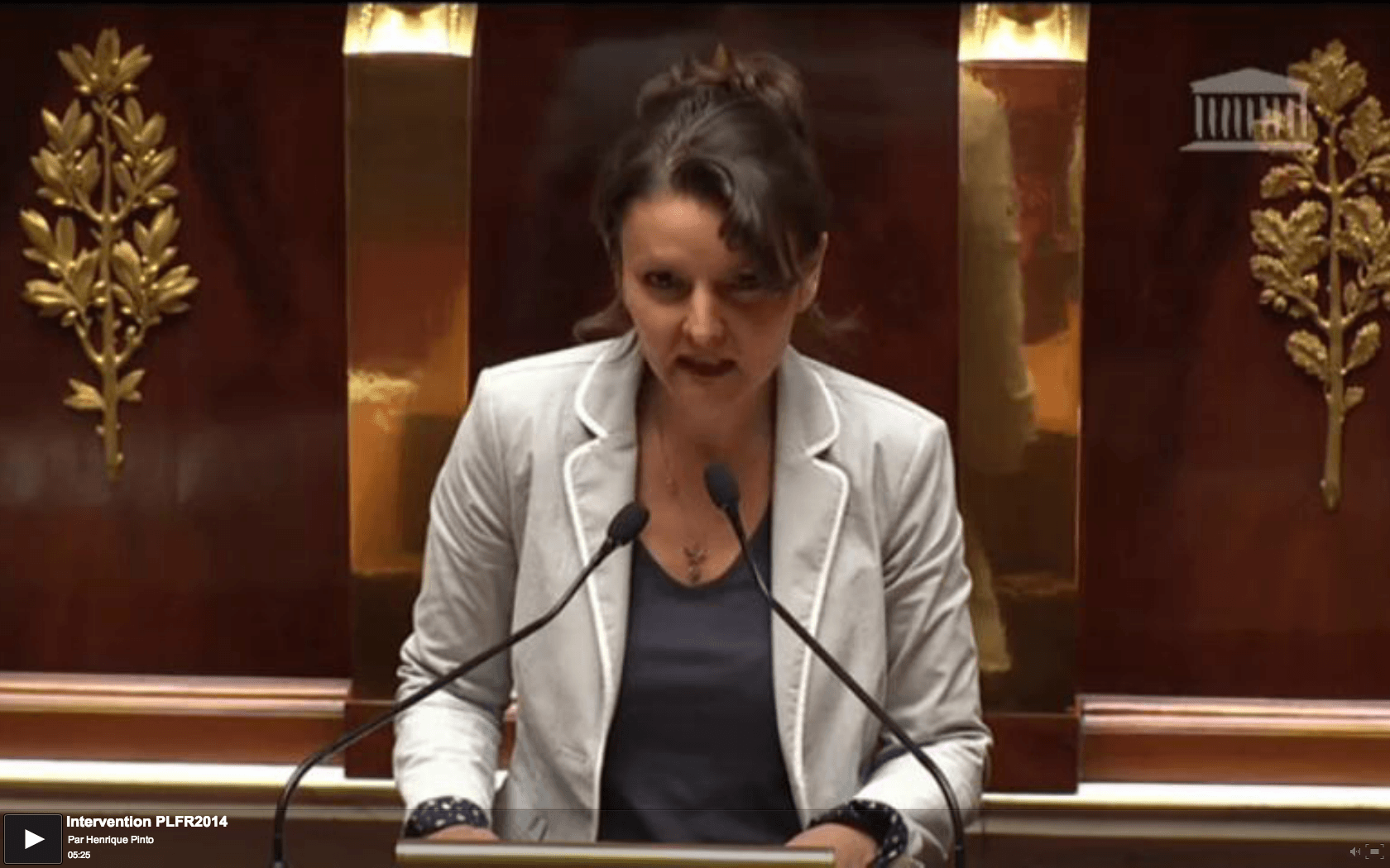 Intervention d&rsquo;Éva Sas à l&rsquo;ouverture du débat du 23 juin