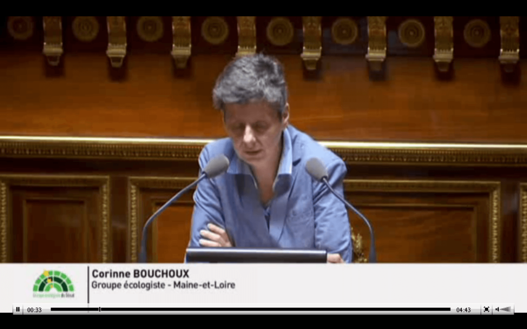 Le travail accompli par la Haute Assemblée est-il utile ou non ?
