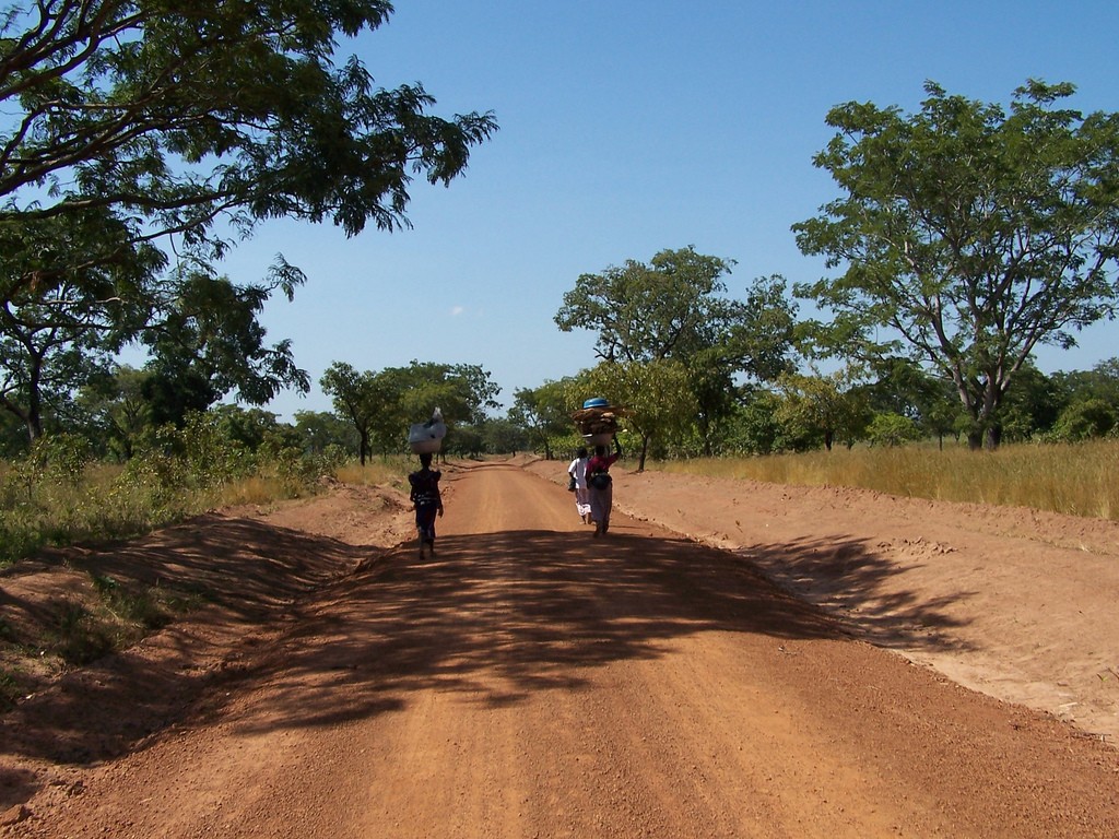 EELV appelle à une transition démocratique et pacifique au Burkina Faso