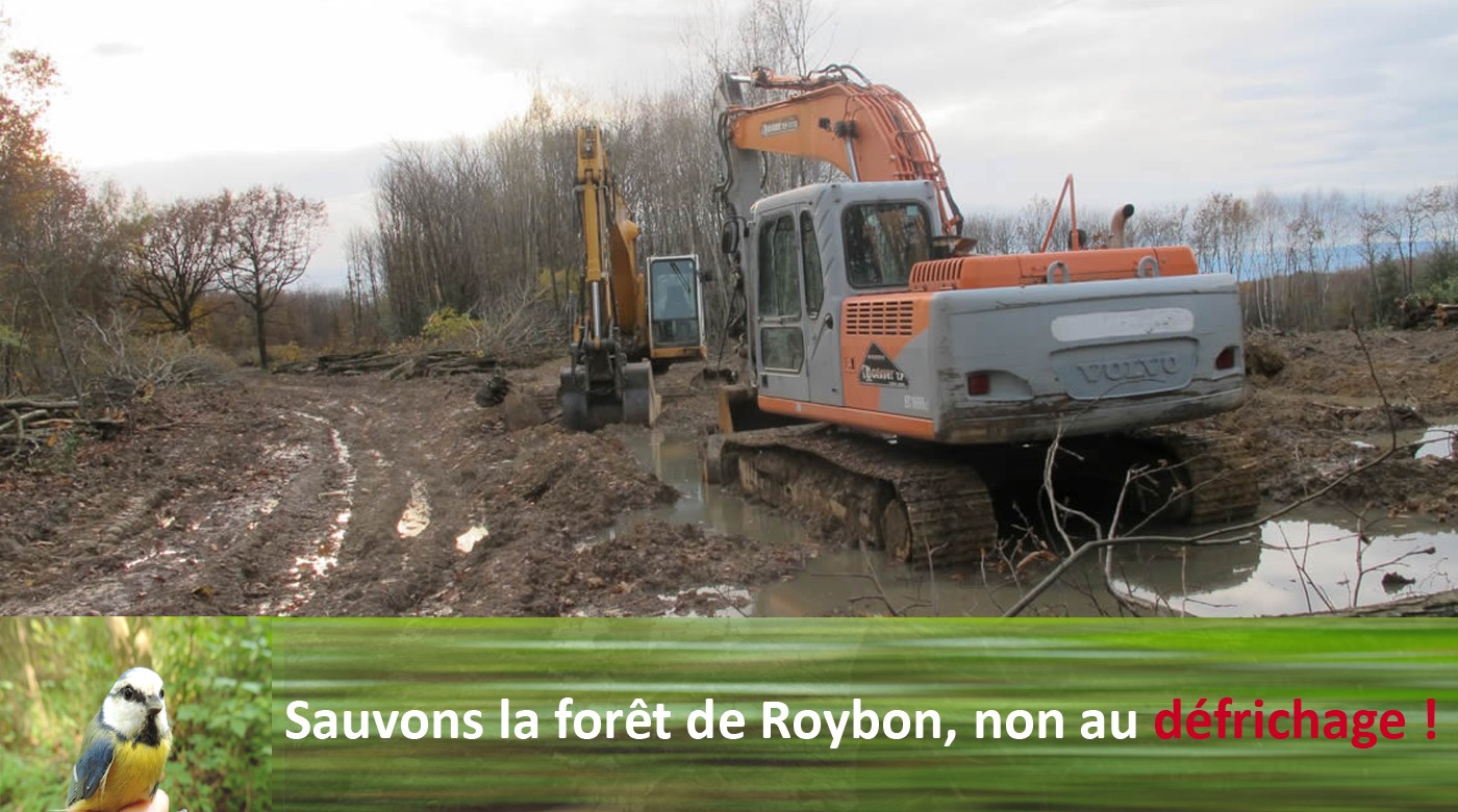 Roybon : une victoire éclatante du droit et de l’intérêt général