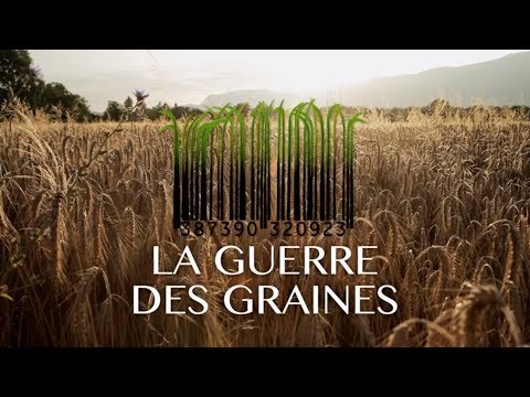 Préservons les semences avec « Graines de Vie »
