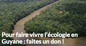 Faites vivre l’écologie en Guyane
