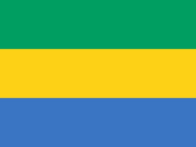 Réélection d’Ali Bongo au Gabon :  Un nouveau hold up électoral qui débouche sur la violence
