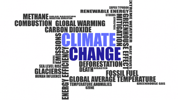 Climat : scientifiques et écologistes proposent des solutions pour échapper au pire