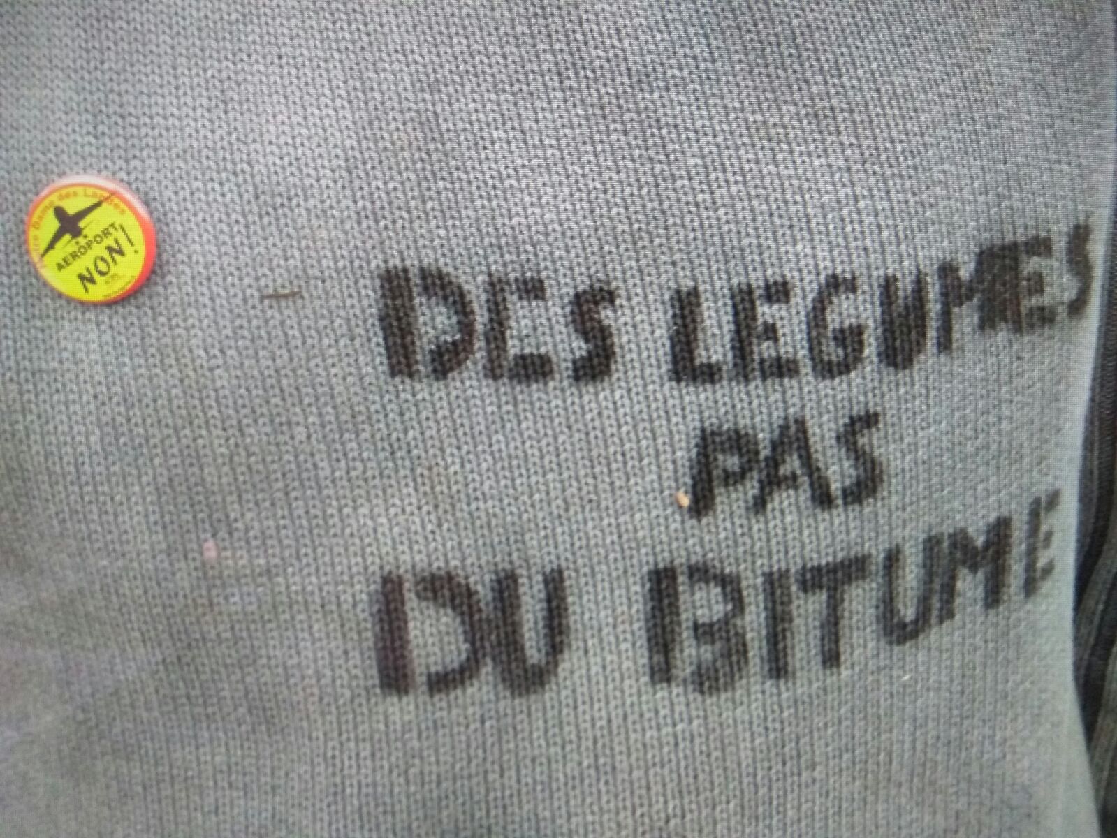 NDDL : Les écologistes redisent leur refus de toute violence, d’où qu’elle vienne