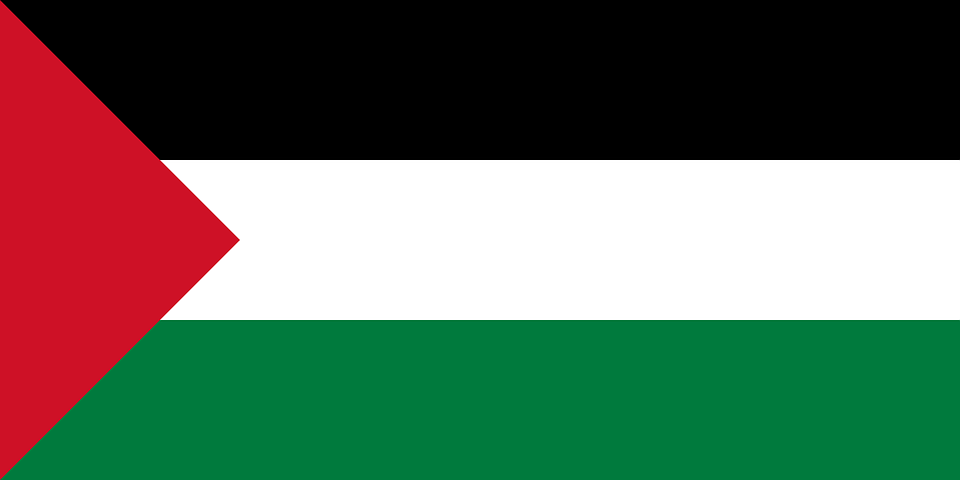 Réaction d’Europe Écologie Les Verts suite aux tueries perpétrées par le gouvernement israélien