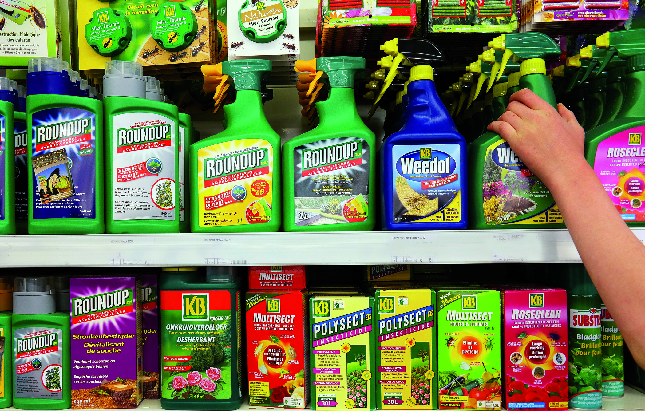 Monsanto : EELV porte plainte pour fichage illégal et appelle aux Marches contre Monsanto