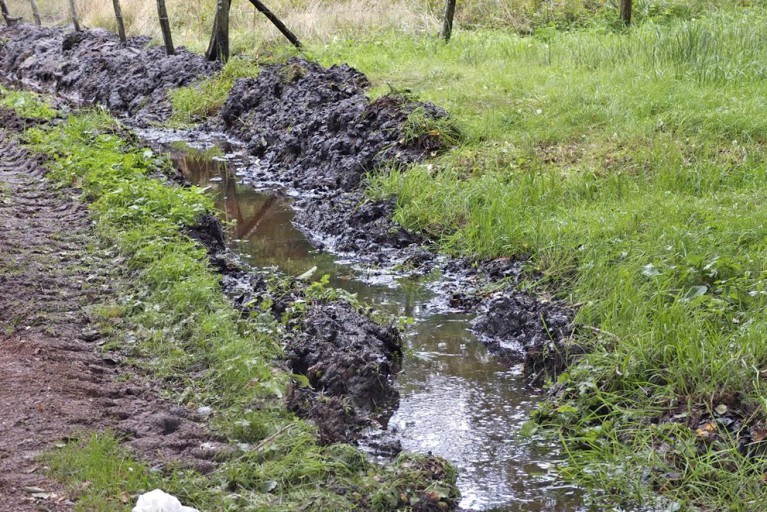 Pesticides : nos rivières polluées par de probables perturbateurs endocriniens