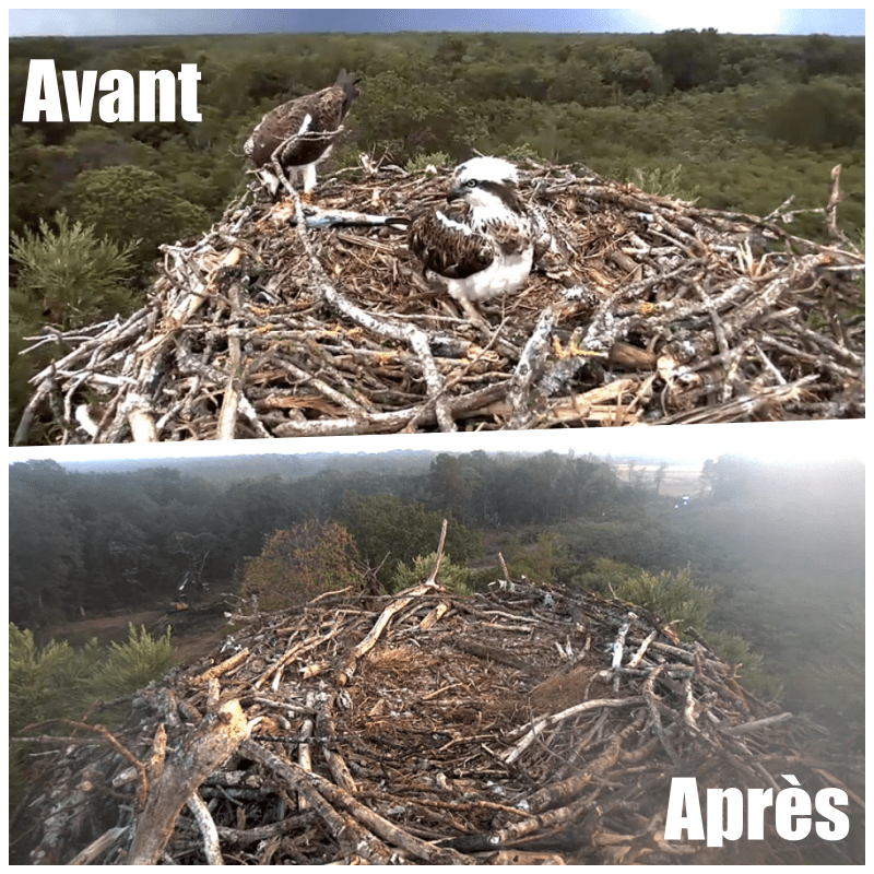 Pont de Mardié : une déviation à la transition écologique !