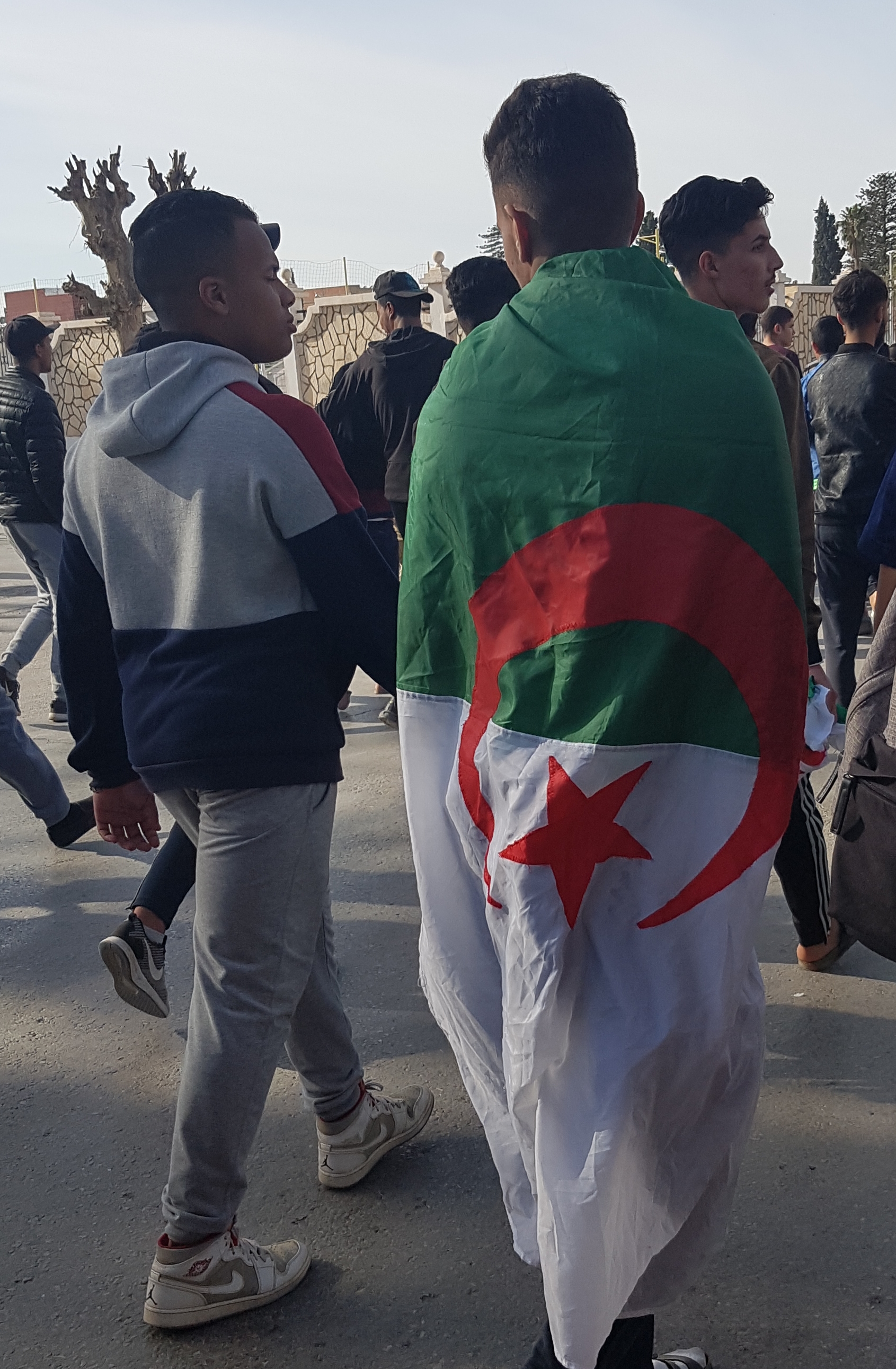 EELV soutien le « Hirak » algérien