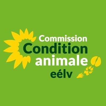 “15 Propositions pour le bien-être animal” : EELV dénonce une opération de communication plutôt qu’un engagement réel pour les animaux