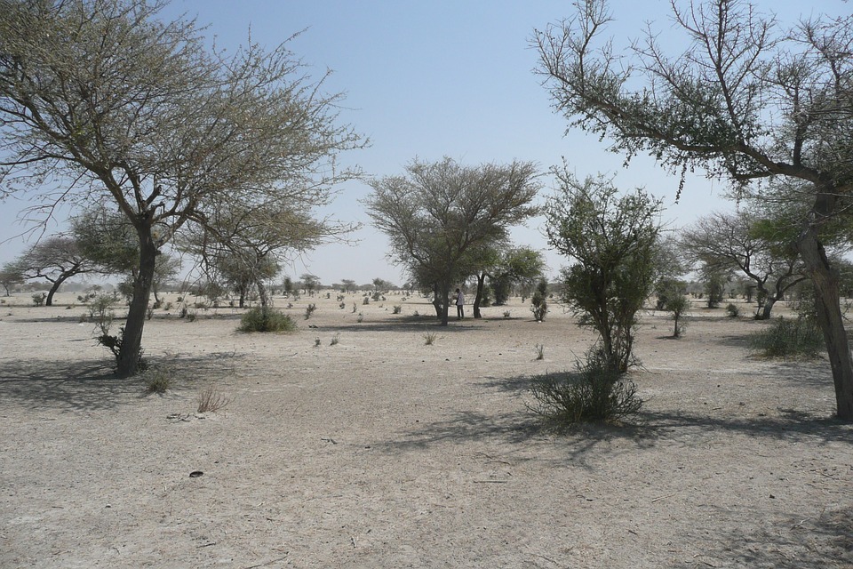 Au Sahel, une guerre contre la paix ?