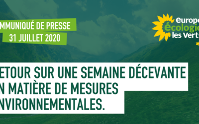 Secrétaires d’État et conseil de défense écologique : #TousEcologistes ?