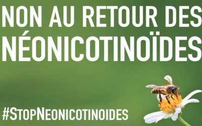 Néonicotinoïdes : Non à la réintroduction des pesticides tueurs d’abeilles