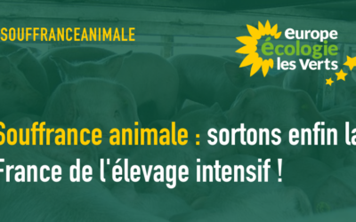 Souffrance animale : sortons enfin la France de l’élevage intensif !