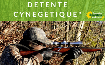 Non, la chasse n’est pas une activité essentielle en période de confinement