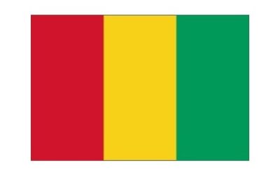 Guinée : mettre fin aux violences et sortir de la crise post-électorale de manière pacifique
