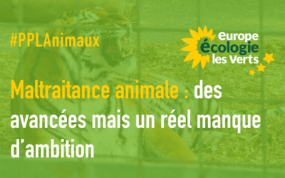 Maltraitance animale : des avancées mais un réel manque d’ambition