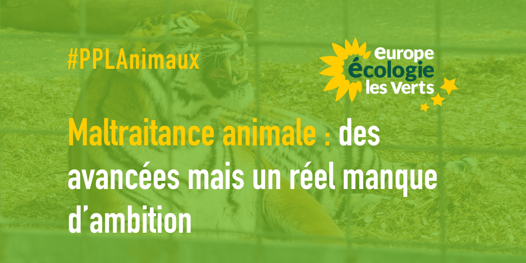 Maltraitance animale : des avancées mais un réel manque d’ambition