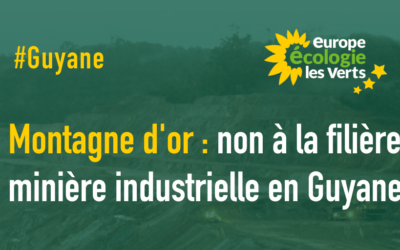 NON A LA FILIERE MINIERE INDUSTRIELLE EN GUYANE