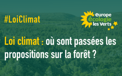Loi Climat : où sont passées les propositions sur la forêt ? EELV soutient la mobilisation du 1er mars