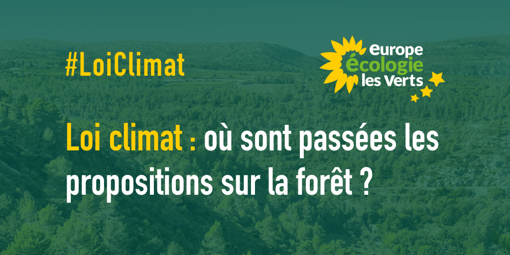 Loi Climat : où sont passées les propositions sur la forêt ? EELV soutient la mobilisation du 1er mars
