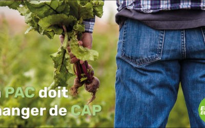 Politique Agricole Commune : l’avenir de la transition Agroécologique se joue maintenant