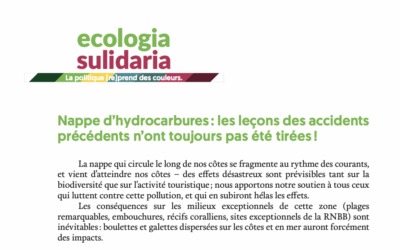 Nappe d’hydrocarbures en Corse : les leçons des accidents précédents n’ont toujours pas été tirées !